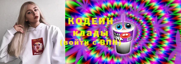 шишки Белоозёрский